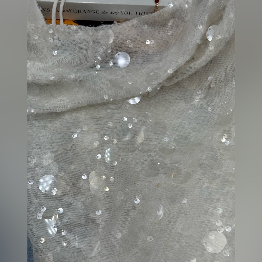🆕 RAT & BOA 🧿 NWOT Evangeline Ivory Glistening Paillettes & Sequins Dress Sz L - Picture 16 of 17